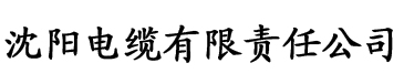 久久精品毛片免费观看电缆厂logo